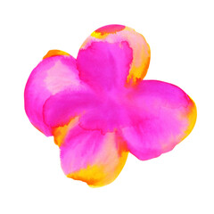Neon pink flower, watercolor drawing, isolated on white