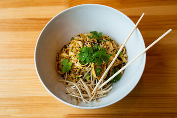 traditional udon noodles in a white plate 