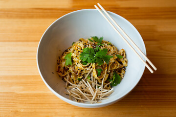 traditional udon noodles in a white plate	
