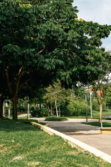 Modern park with trees and concrete pathway. A child walking, seen from behind.