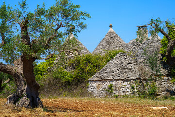 Rural landscape on Apulia between Alberobello and Locorotondo