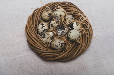 Happy Easter. Quail eggs in the nest, selective focus
