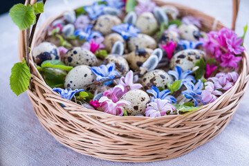 Wicker basket with Easter eggs and spring bright flowers