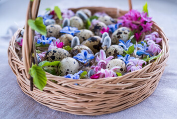 Fototapeta na wymiar Wicker basket with Easter eggs and spring bright flowers