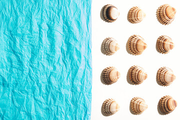 Sea shells and blue crepe paper on beige background. Summer, vacation Love or Valentine's Day concept. Flat lay.