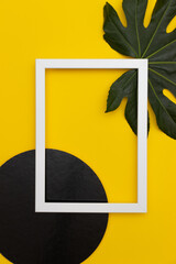 White frame flat lay on top of a black circle and a dark green leaf on a yellow background