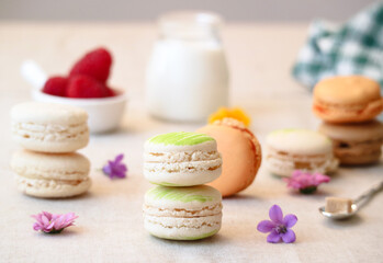 Close up of traditional French macarons with colorful flowers of spring with various berries fruit as raspberries and bottle of milk in background