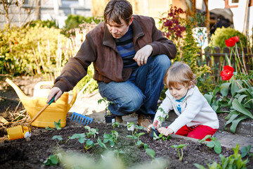 Little boy and father planting seeds and strawberry and tomato seedlings in vegetable garden,...