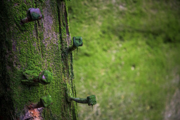 River Thames Beach details, East London, England