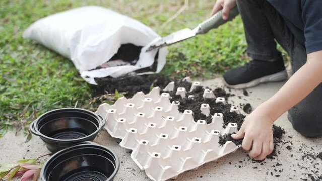 Asian boy about 5 years puts the soil to the egg carton tray for growing plant seeds