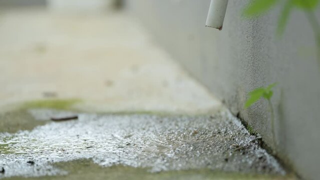 Droplets water from compressor drain hose when using the air conditioner with moss and wet moisture plant.