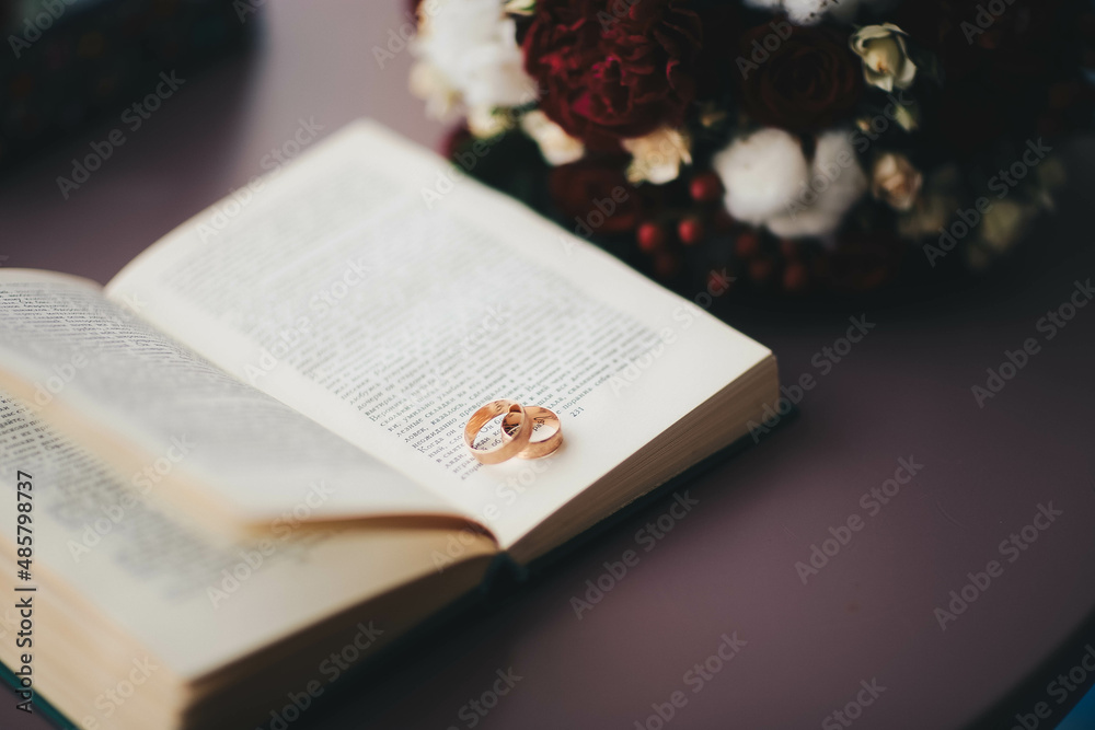 Wall mural rings on book