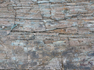 The texture of an old wooden countertop. All damaged and remnants of paint. Places from the axe are visible
