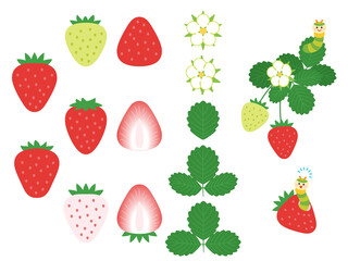 果物イラスト　バラエティセット　いちご