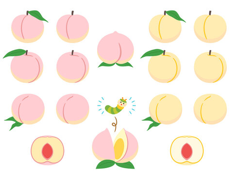 桃太郎 Images Browse 1 235 Stock Photos Vectors And Video Adobe Stock