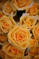 Fototapeta na wymiar yellow roses bouquet