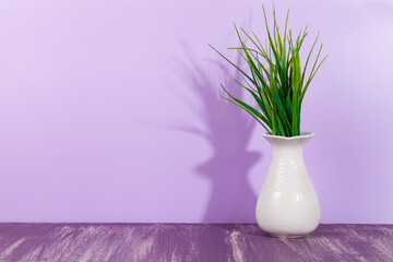 Green plant in a white vase on a purple background