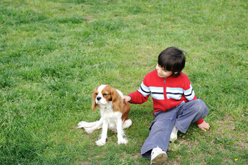 Young boy playing with a dog ,high quality