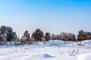 Landscape with winter forest covered with snow.	