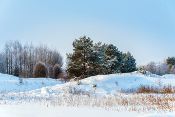 Landscape with winter forest covered with snow.	