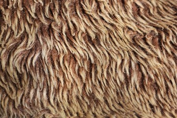 brown fur texture