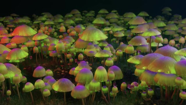 Psychedelic magic mushrooms dancing in the forest. Colorful trippy psilocybin mushroom wave. Vj Loop