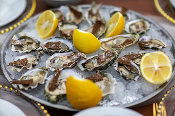 Fresh oysters with lime on a round plate. Oyster season. Macro-seafood dish. Oyster on the half shell. Two varieties of oysters.Out of focus..