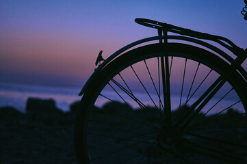 Sunset bike