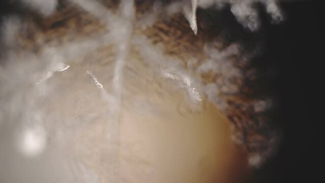 Seeing a snowflake under a microscope. Science project