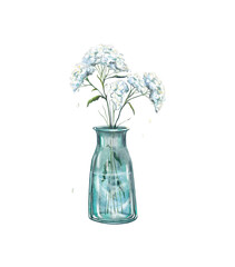 Watercolor white wild flowers Achillea in a glass bottle isolated on a white background. Spring boho bouquet in a vintage vase. Plants. Decorative flora. Hand drawn illustration