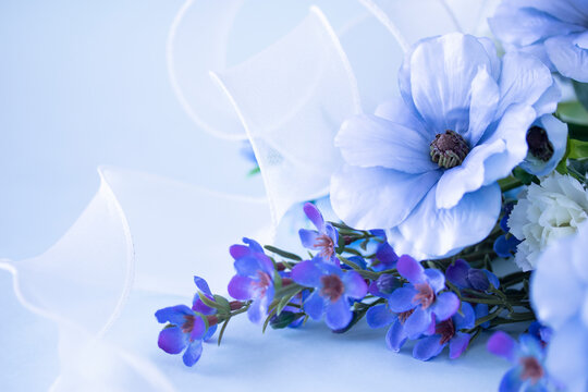 オーガンジー Images Browse 1 355 Stock Photos Vectors And Video Adobe Stock