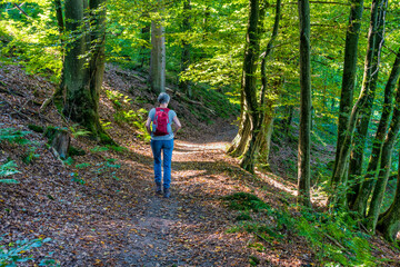 Schattiger Wanderweg im Naafbachtal