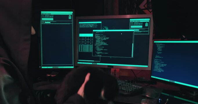 Hacker in a hood sits in front of computer screens and hacks databases. The concept of cyberterrorism, server hacking and cyberattacks. There is a black cat next to the man