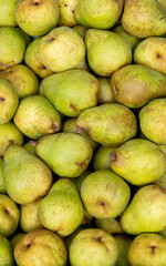 pear fruit background green dutch greenhouse street