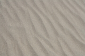 Fototapeta na wymiar Fine sand, beautifully textured by the wind. Copy space for your design. Web banner. 