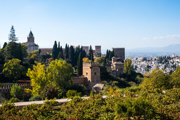 Fototapeta na wymiar View of the Alhambra in Granada