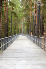 Fototapeta premium walking and cycling paths in the forest