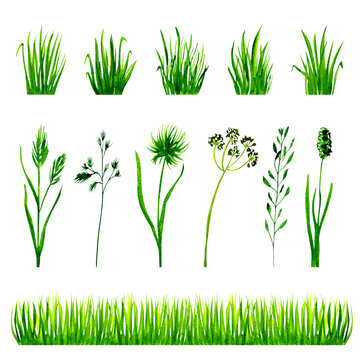 Watercolor green grass set isolated on white background
