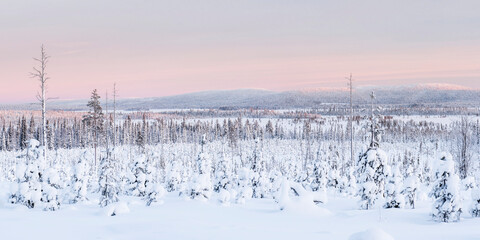 Fototapeta na wymiar Frozen snow covered lake in the winter landscape in Lapland at sunset inside the Arctic Circle in Finland