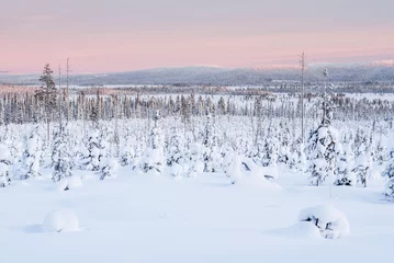 Fotobehang Frozen snow covered lake in the winter landscape in Lapland at sunset inside the Arctic Circle in Finland © Matthew