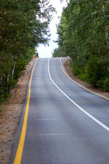 Fototapeta na wymiar asphalted highway running through the pine forest