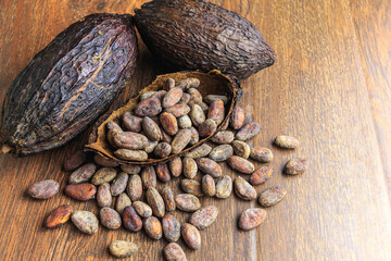 Dry cocoa bean  and  dry cacao pod on wooden table