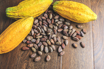 Fresh cocoa pods and cocoa beans on wooden background