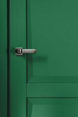 Stainless stylish door knob on green wooden door