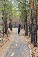 Obraz premium cyclists riding on a bike path in the forest