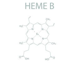 Heme B molecular skeletal chemical formula