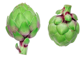 Obraz premium Fresh Artichoke isolated on white background. Raw Artichok closeup