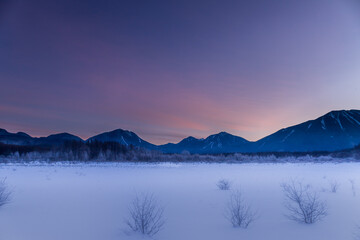 冬の奥日光小田代ヶ原