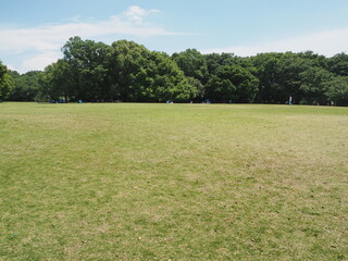 a large park with lawns in Japan