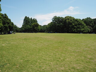 a large park with lawns in Japan